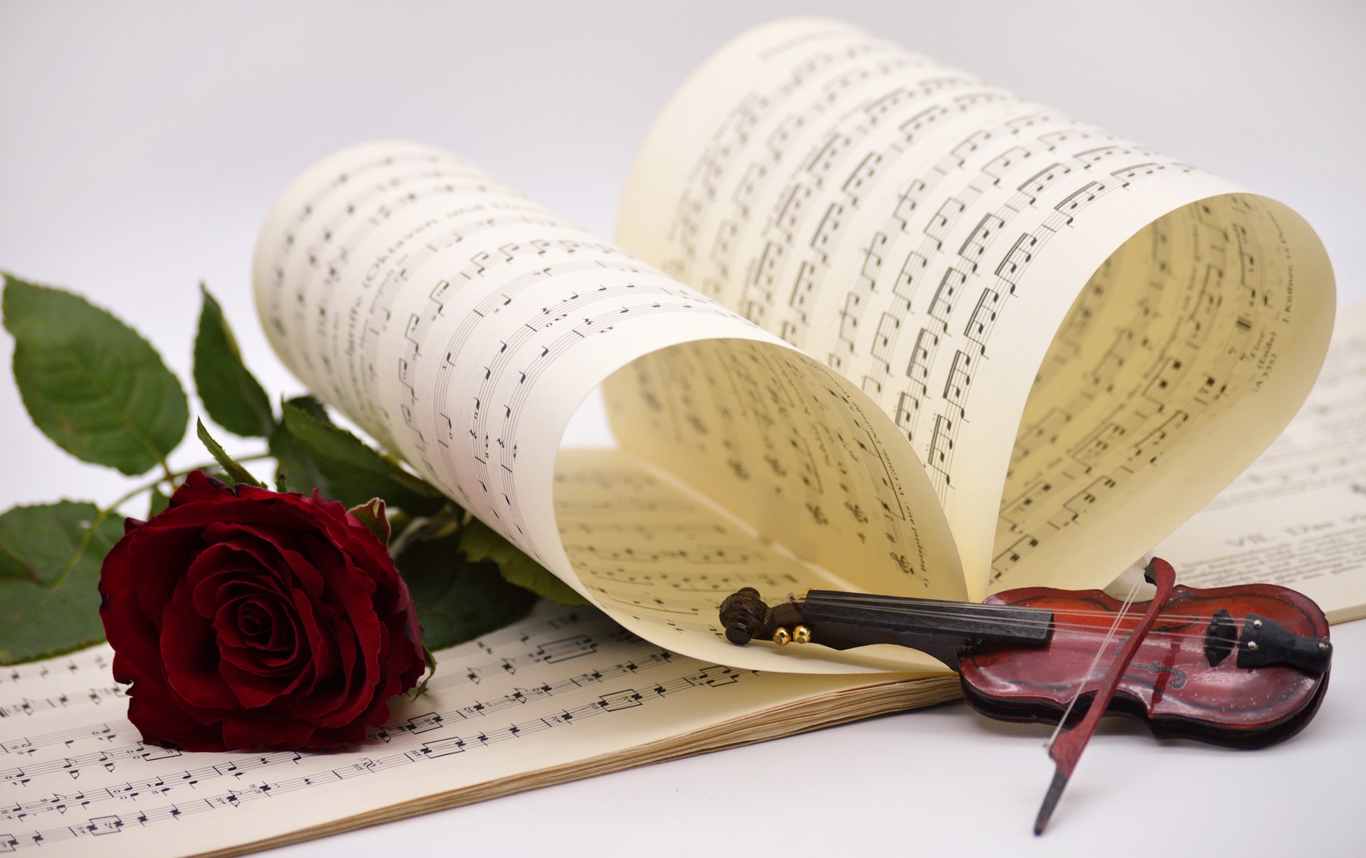 Hier sehen sie ein aufgefächertes Notenbuch mit einer Rose und einer Geige