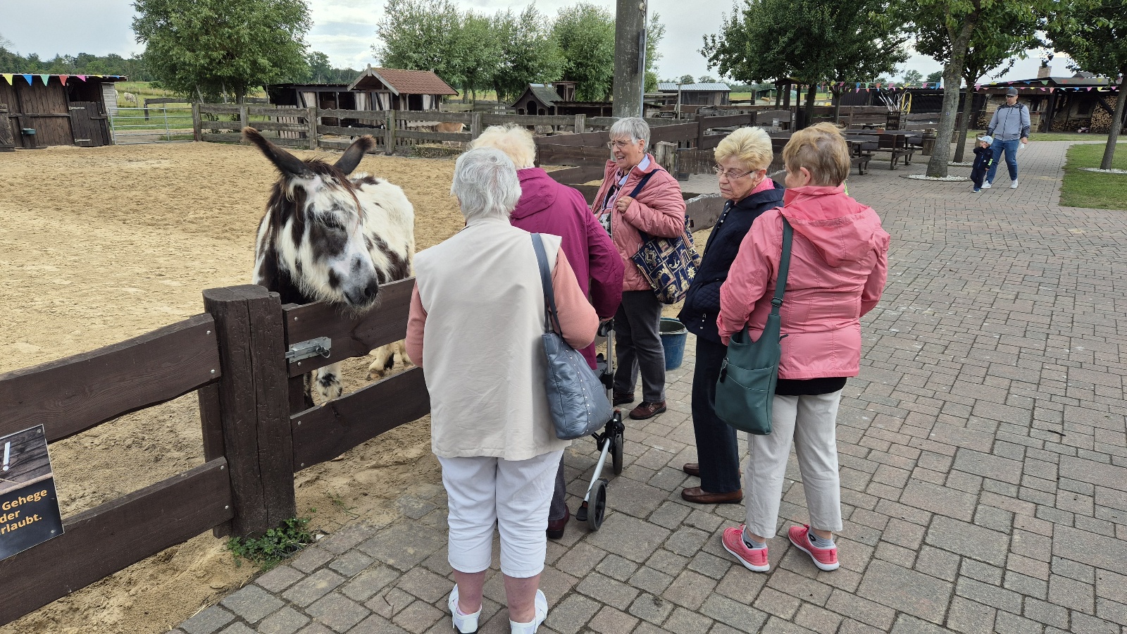 5 Frauen an einem Tiergehege. Ein gescheckter Esel guckt interessiert über den Holzzaun.