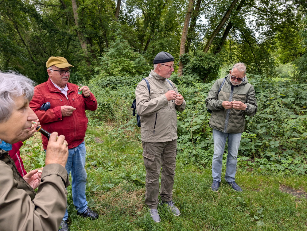 Eine Frau und 3 Männer stehen auf Wiese am See und trinken aus ganz kleinen Fläschchen.