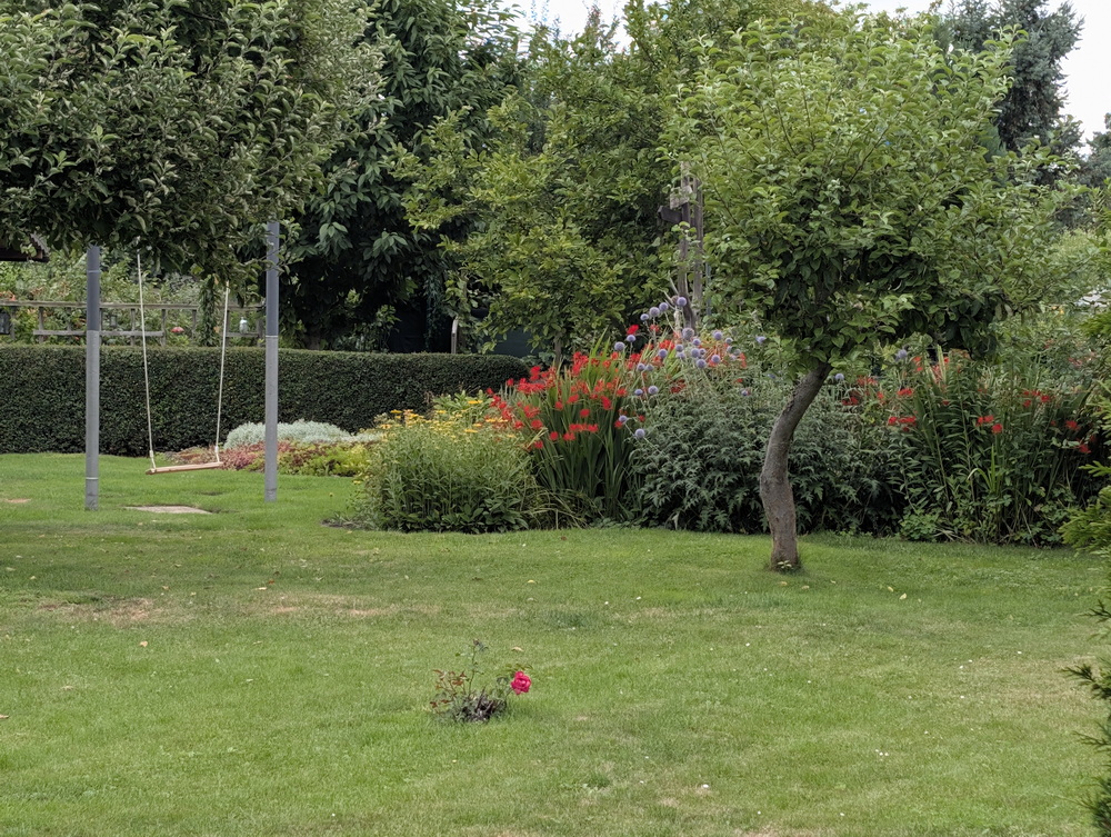 Garten mit Blumen und Schaukel.